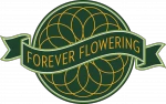 foreverflowering.net
